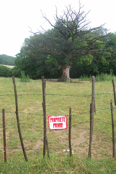 2011-05- (416).JPG